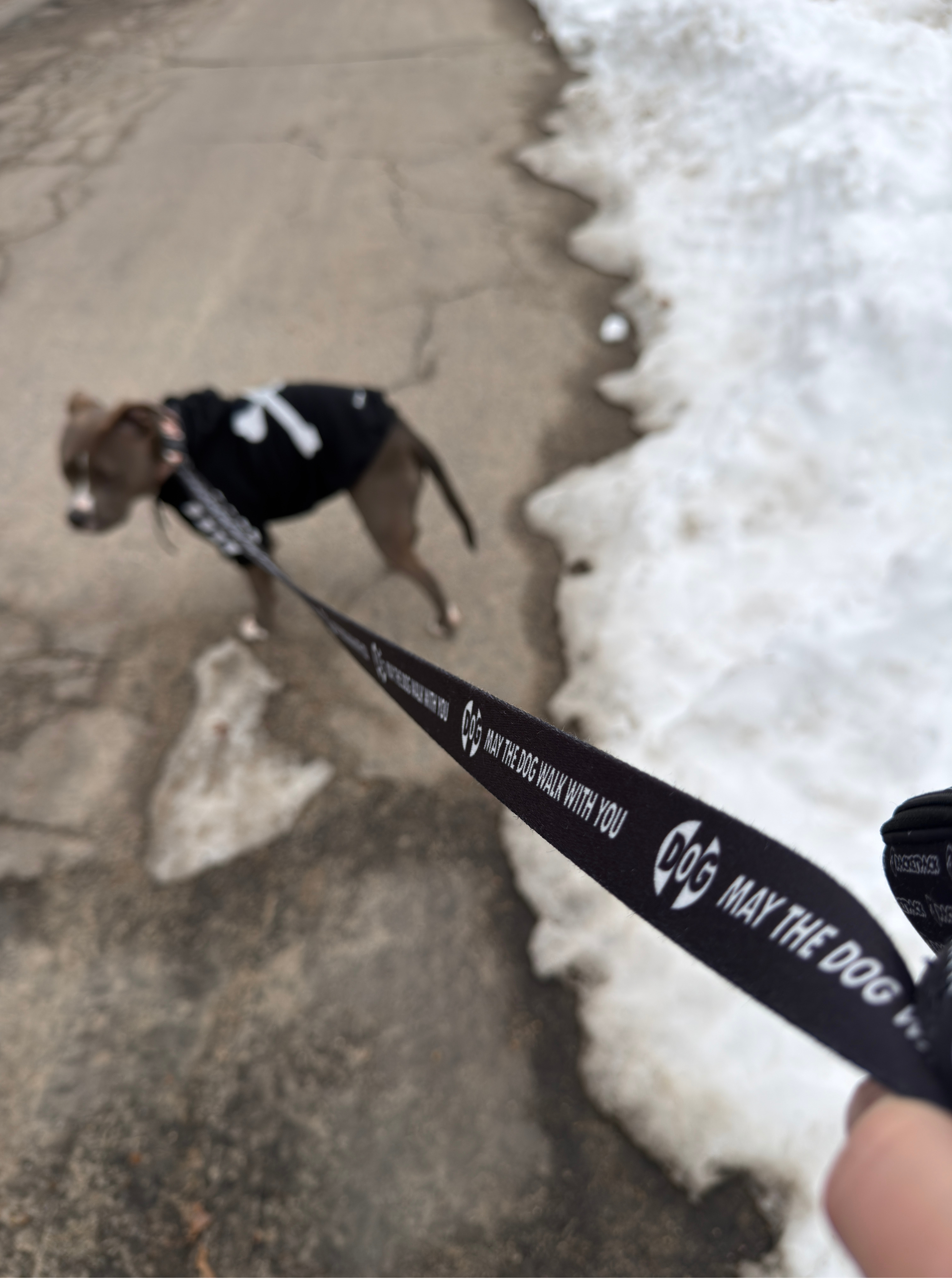 "DOG" Leash
