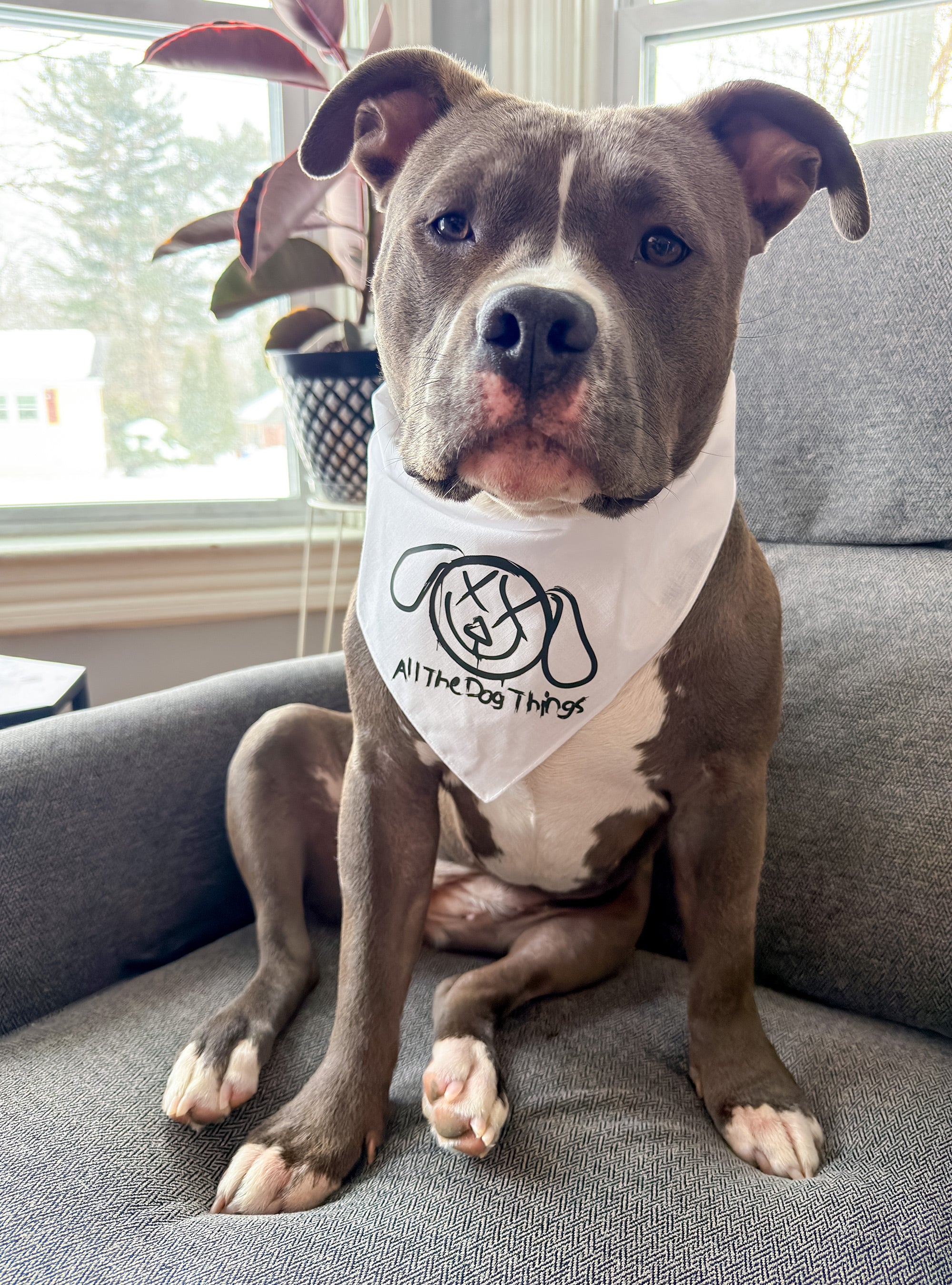 "All The Dog Things" Bandana