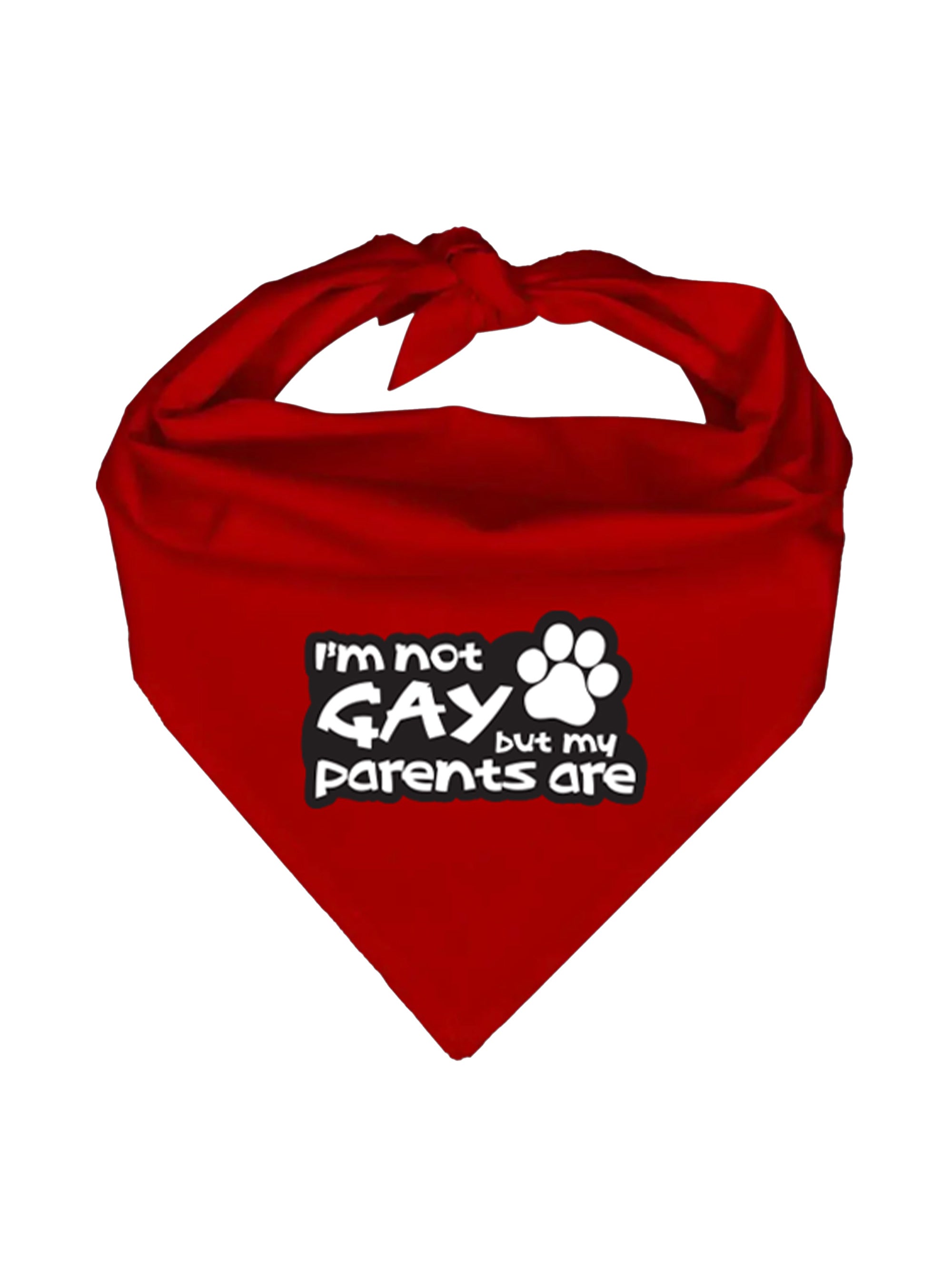 "I'm Not Gay But My Parents Are" Bandana - Red