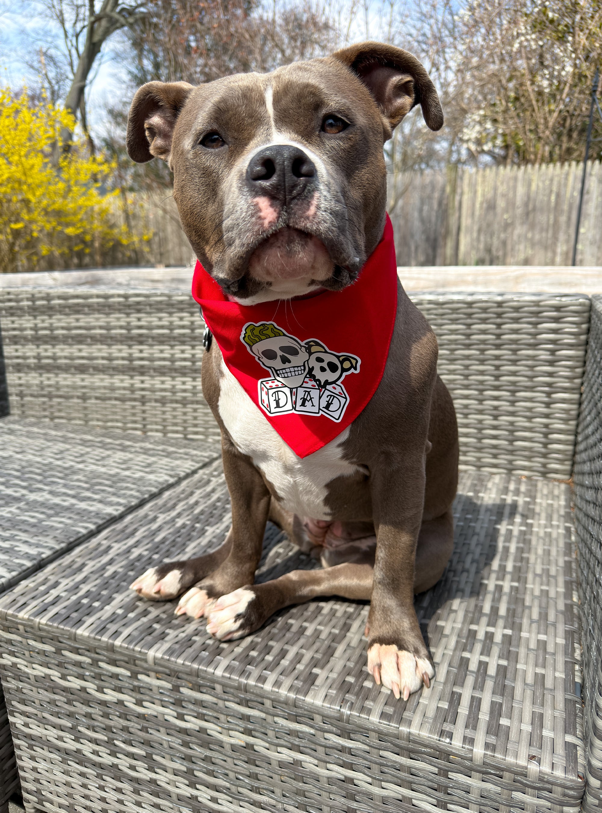 Mispits Bandana
