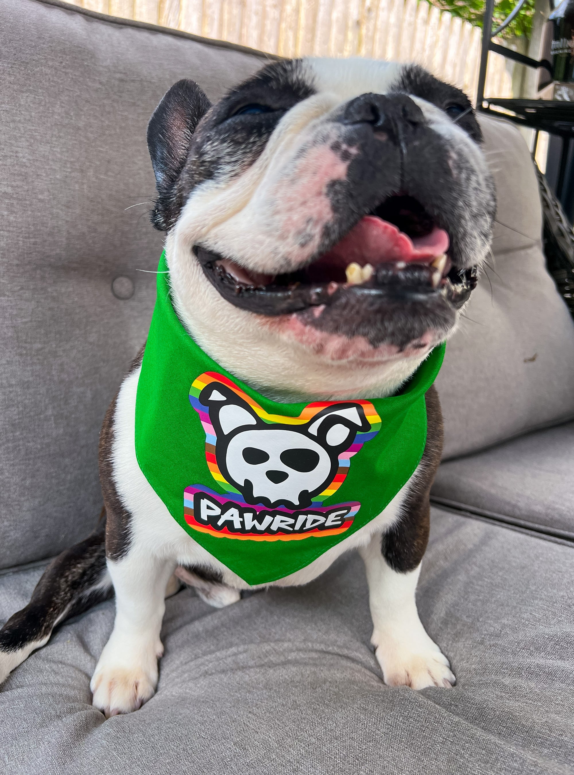 Skull & Dogbones "Pawride" Bandana