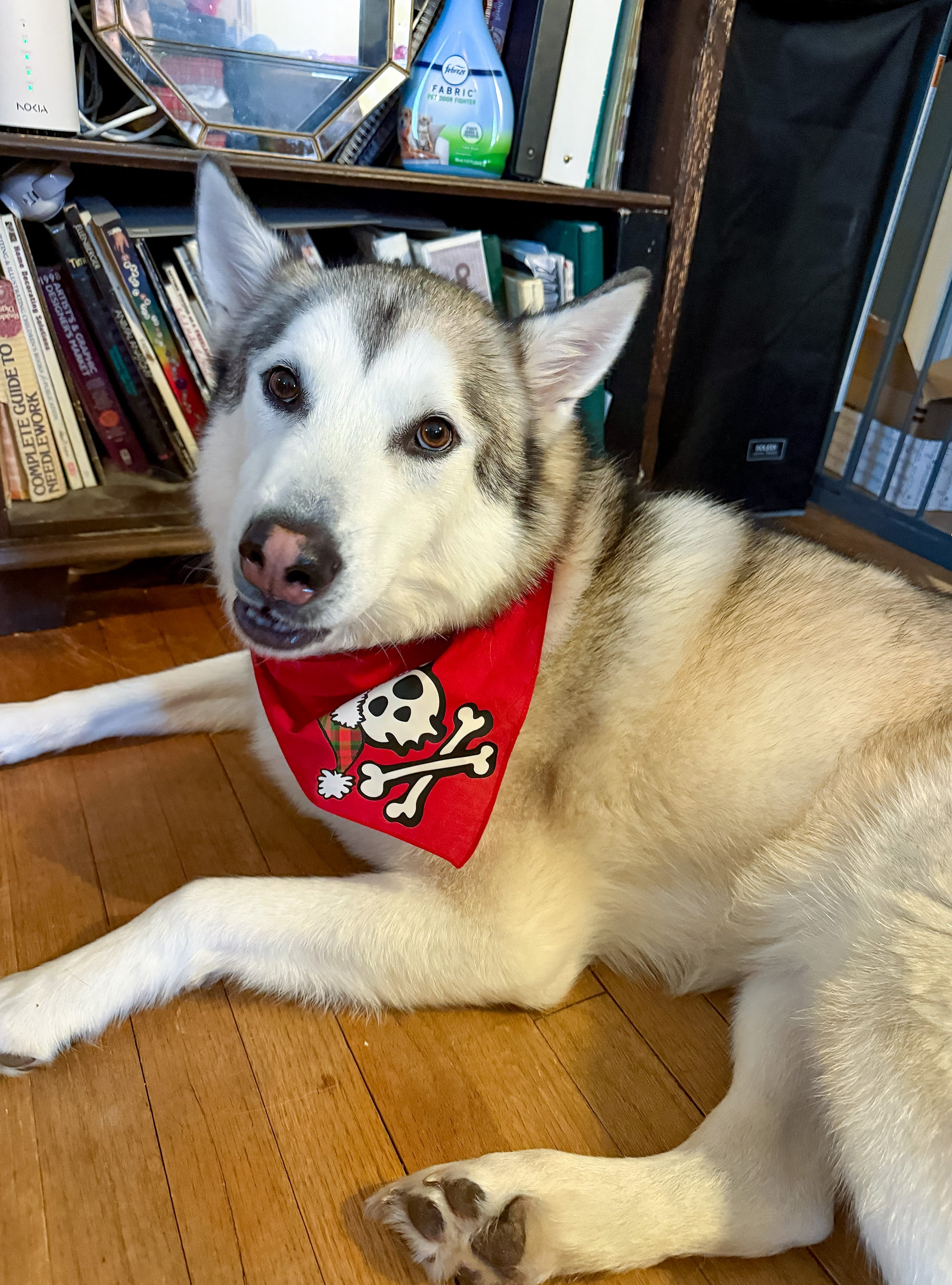 Skull & Dogbones Santa Bandana